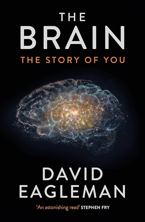 The Brain By David Eagleman