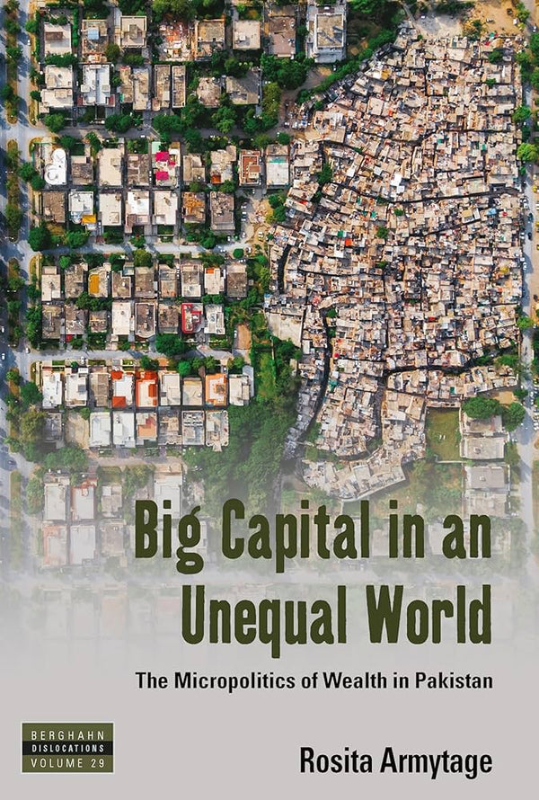 Big Capital in an Unequal World By Rosita Armytage