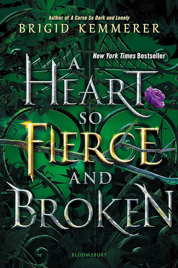 A Heart So Fierce and Broken By Brigid Kemmerer